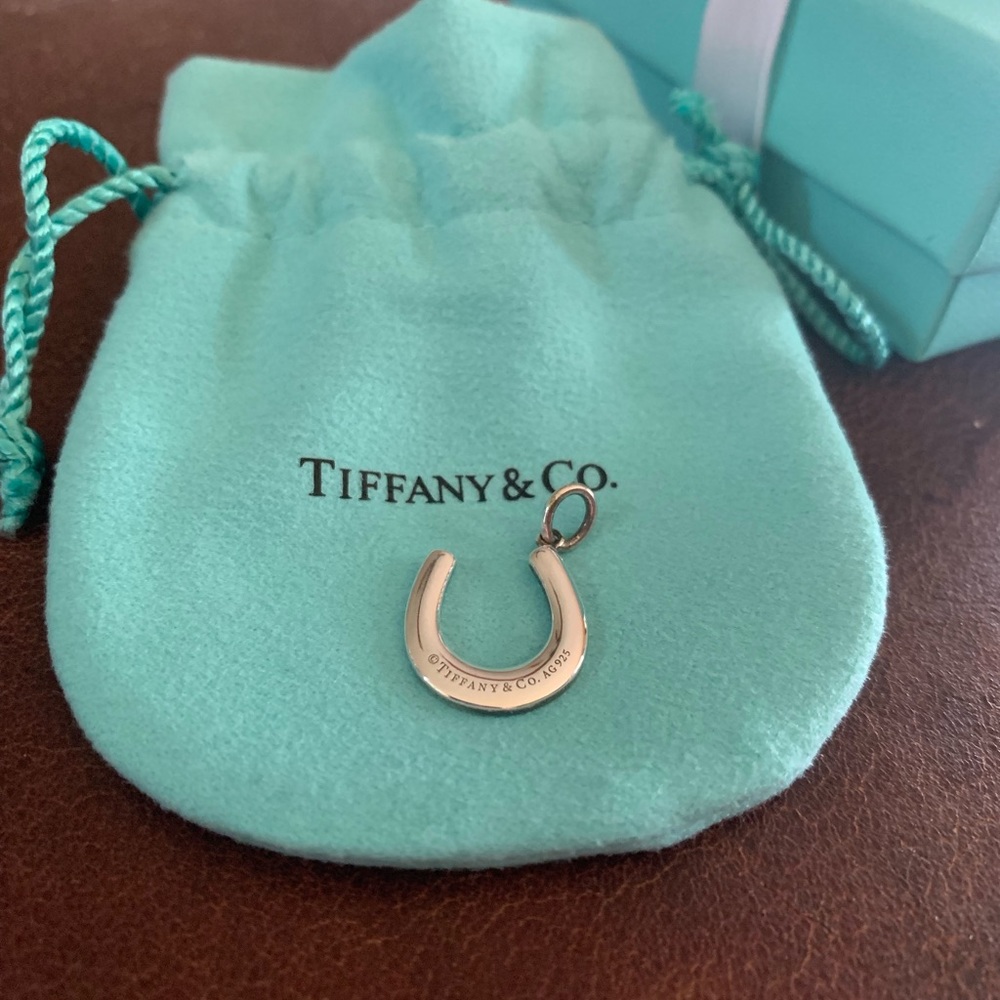 NWT Tiffany & Co Silver Horseshoe Pendant
